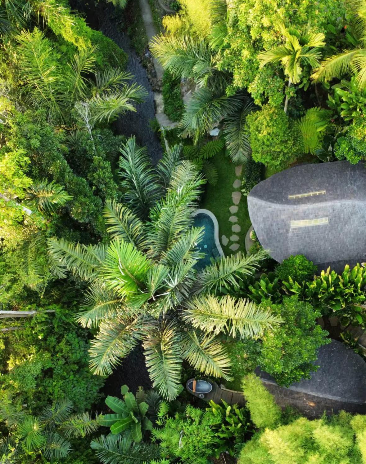 Wahem Eco Bamboo - Magical Bamboo House Ubud Bali Villa Buitenkant foto
